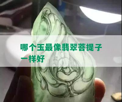 哪个玉最像翡翠菩提子一样好