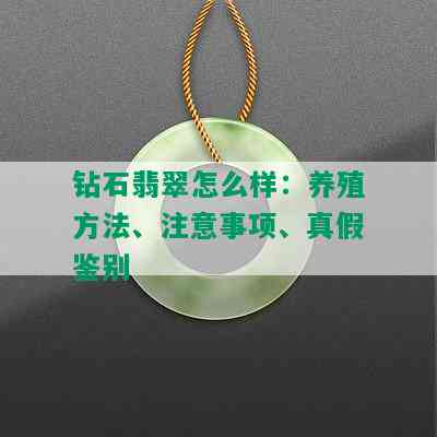 钻石翡翠怎么样：养殖方法、注意事项、真假鉴别