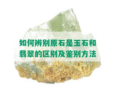 如何辨别原石是玉石和翡翠的区别及鉴别方法