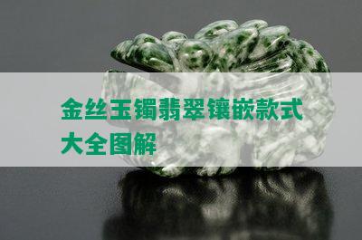 金丝玉镯翡翠镶嵌款式大全图解