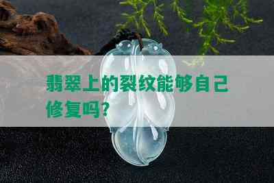 翡翠上的裂纹能够自己修复吗？