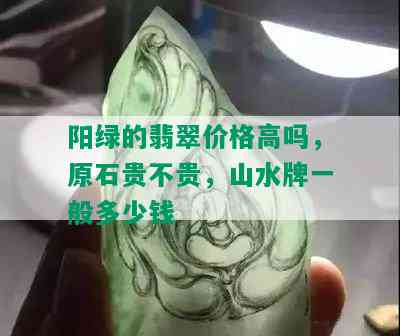 阳绿的翡翠价格高吗，原石贵不贵，山水牌一般多少钱