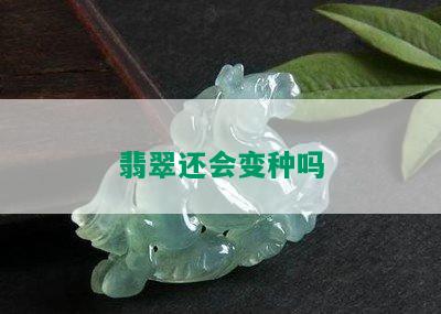 翡翠还会变种吗