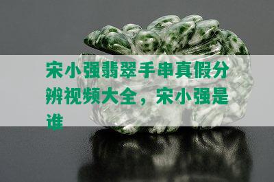 宋小强翡翠手串真假分辨视频大全，宋小强是谁