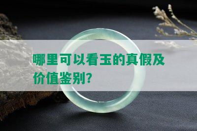 哪里可以看玉的真假及价值鉴别？