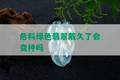 危料绿色翡翠戴久了会变种吗