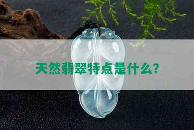 天然翡翠特点是什么？