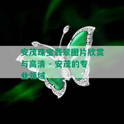 安茂珠宝翡翠图片欣赏与高清 - 安茂的专业领域