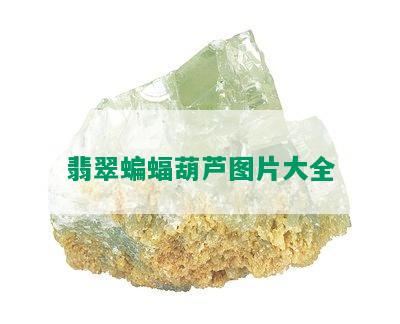 翡翠蝙蝠葫芦图片大全