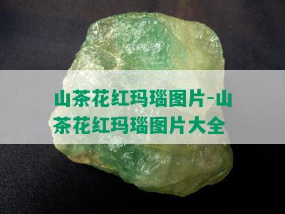 山茶花红玛瑙图片-山茶花红玛瑙图片大全