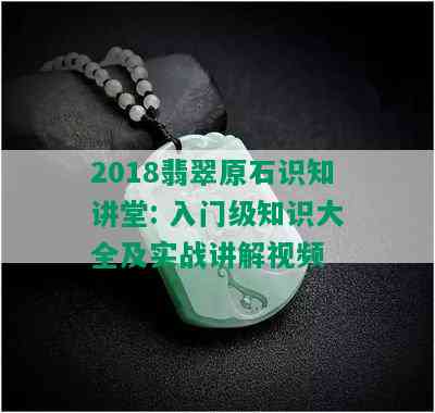 2018翡翠原石识知讲堂: 入门级知识大全及实战讲解视频