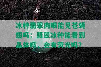 冰种翡翠肉眼能见苍蝇翅吗：翡翠冰种能看到晶体吗，会有荧光吗？