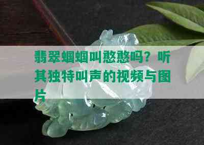 翡翠蝈蝈叫憨憨吗？听其独特叫声的视频与图片