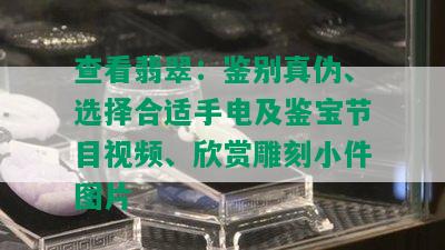 查看翡翠：鉴别真伪、选择合适手电及鉴宝节目视频、欣赏雕刻小件图片