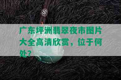 广东坪洲翡翠夜市图片大全高清欣赏，位于何处？