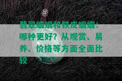 翡翠蝈蝈和铁皮蝈蝈：哪种更好？从观赏、易养、价格等方面全面比较