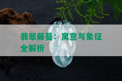 翡翠藤蔓：寓意与象征全解析