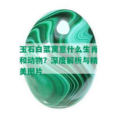 玉石白菜寓意什么生肖和动物？深度解析与精美图片