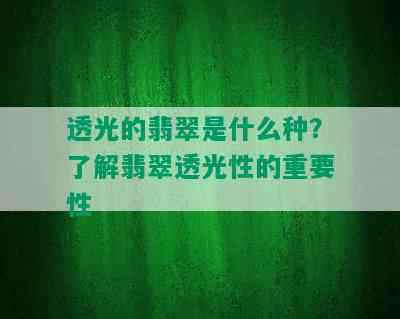 透光的翡翠是什么种？了解翡翠透光性的重要性