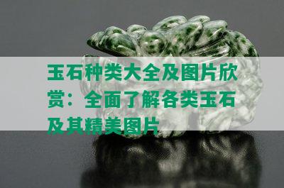 玉石种类大全及图片欣赏：全面了解各类玉石及其精美图片