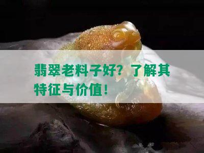 翡翠老料子好？了解其特征与价值！