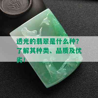 透光的翡翠是什么种？了解其种类、品质及优劣！