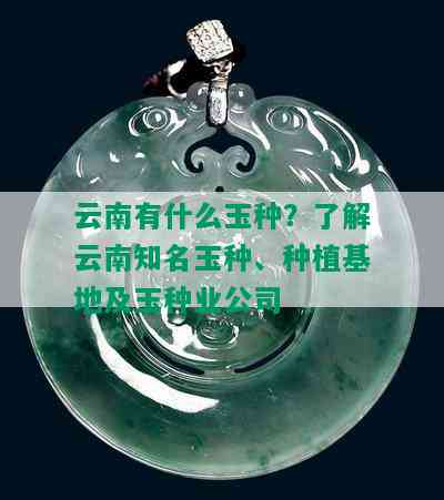 云南有什么玉种？了解云南知名玉种、种植基地及玉种业公司