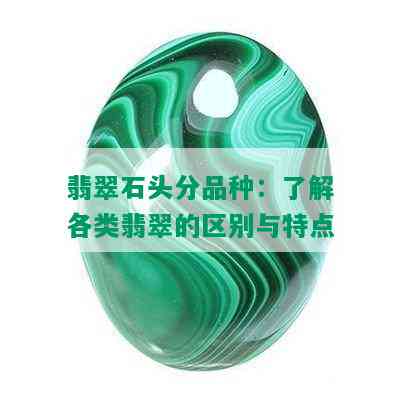 翡翠石头分品种：了解各类翡翠的区别与特点