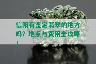 信阳有鉴定翡翠的地方吗？地点与费用全攻略！