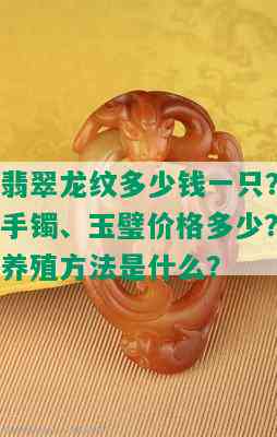 翡翠龙纹多少钱一只？手镯、玉璧价格多少？养殖方法是什么？