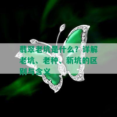 翡翠老坑是什么？详解老坑、老种、新坑的区别与含义