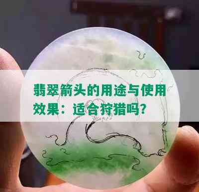 翡翠箭头的用途与使用效果：适合狩猎吗？