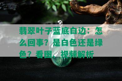 翡翠叶子蓝底白边：怎么回事？是白色还是绿色？看图、视频解析