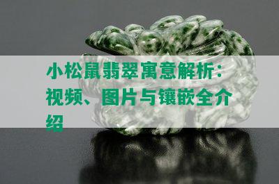 小松鼠翡翠寓意解析：视频、图片与镶嵌全介绍