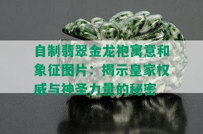 自制翡翠金龙袍寓意和象征图片：揭示皇家权威与神圣力量的秘密