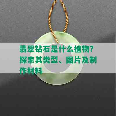 翡翠钻石是什么植物？探索其类型、图片及制作材料