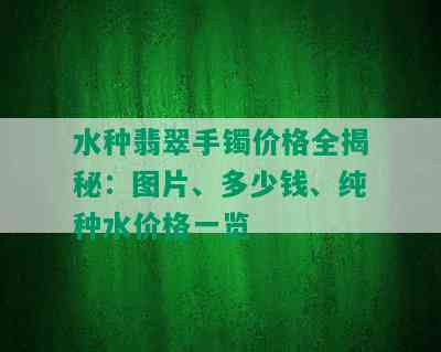 水种翡翠手镯价格全揭秘：图片、多少钱、纯种水价格一览