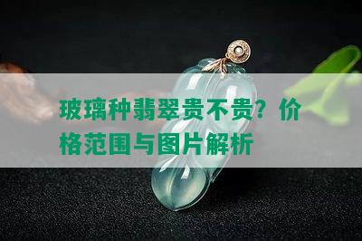 玻璃种翡翠贵不贵？价格范围与图片解析