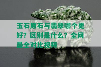 玉石原石与翡翠哪个更好？区别是什么？全网最全对比视频