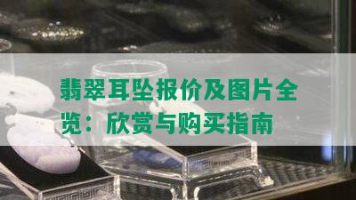 翡翠耳坠报价及图片全览：欣赏与购买指南