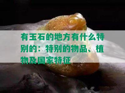 有玉石的地方有什么特别的：特别的物品、植物及国家特征