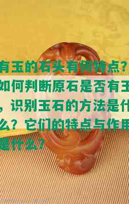 有玉的石头有何特点？如何判断原石是否有玉，识别玉石的方法是什么？它们的特点与作用是什么？