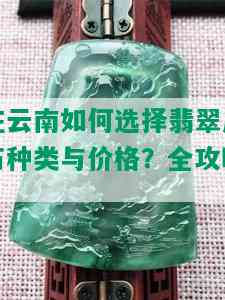 在云南如何选择翡翠原石种类与价格？全攻略！