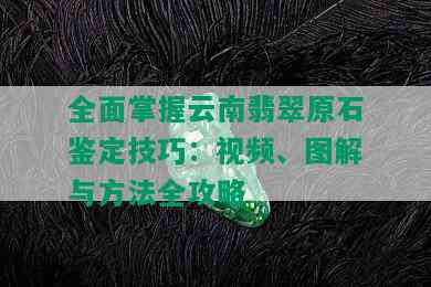 全面掌握云南翡翠原石鉴定技巧：视频、图解与方法全攻略