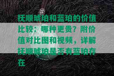 抚顺琥珀和蓝珀的价值比较：哪种更贵？附价值对比图和视频，详解抚顺琥珀是否有蓝珀存在