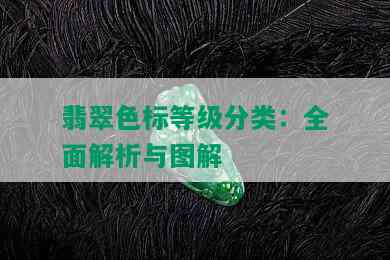 翡翠色标等级分类：全面解析与图解