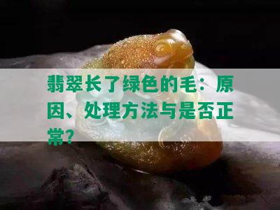 翡翠长了绿色的毛：原因、处理方法与是否正常？