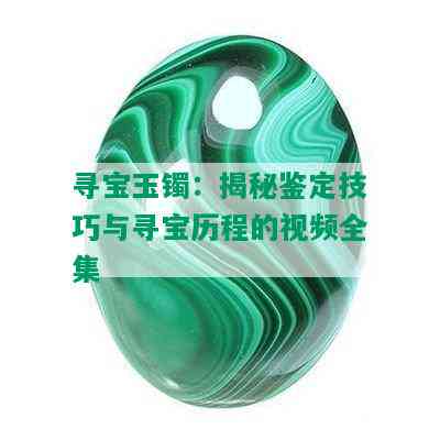 寻宝玉镯：揭秘鉴定技巧与寻宝历程的视频全集