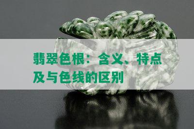 翡翠色根：含义、特点及与色线的区别