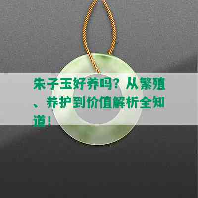 朱子玉好养吗？从繁殖、养护到价值解析全知道！